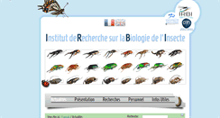 Desktop Screenshot of irbi.univ-tours.fr