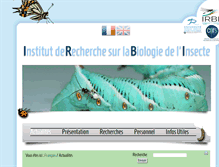 Tablet Screenshot of irbi.univ-tours.fr
